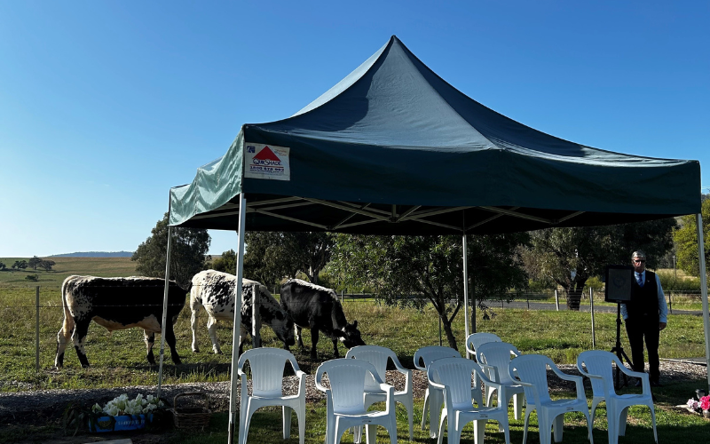 Creating a Meaningful Farewell in Howlong and the Albury Wodonga Region