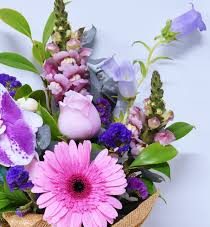 Irene Shirley Anne Clarke neé Babbington